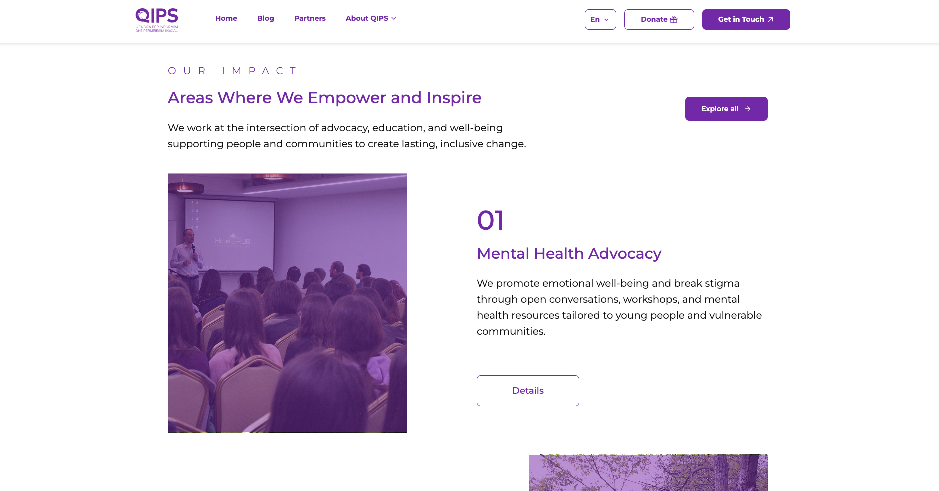 QIPS: Expanding Community Support Digitally
